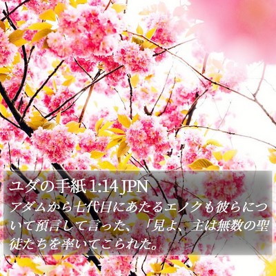 ユダの手紙 1:14 JPN Bible Verse Image
