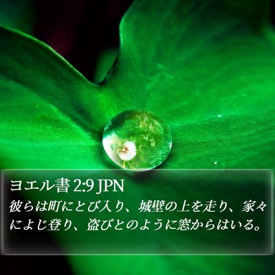 ヨエル書 2:9 JPN Bible Verse Image