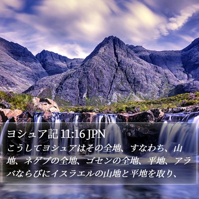 ヨシュア記 11:16 JPN Bible Verse Image
