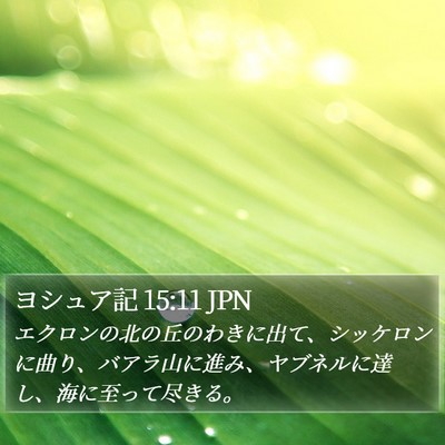 ヨシュア記 15:11 JPN Bible Verse Image