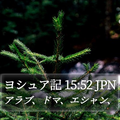 ヨシュア記 15:52 JPN Bible Verse Image