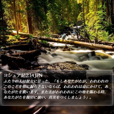 ヨシュア記 2:14 JPN Bible Verse Image