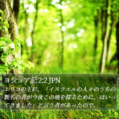 ヨシュア記 2:2 JPN Bible Verse Image