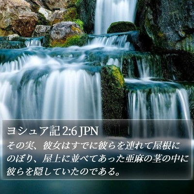 ヨシュア記 2:6 JPN Bible Verse Image