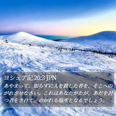 ヨシュア記 20:3 JPN Bible Verse Image