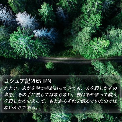 ヨシュア記 20:5 JPN Bible Verse Image
