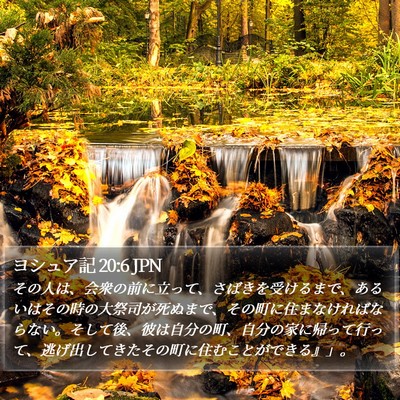 ヨシュア記 20:6 JPN Bible Verse Image