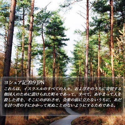 ヨシュア記 20:9 JPN Bible Verse Image