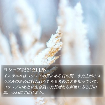 ヨシュア記 24:31 JPN Bible Verse Image