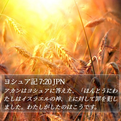 ヨシュア記 7:20 JPN Bible Verse Image