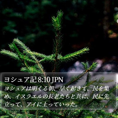 ヨシュア記 8:10 JPN Bible Verse Image