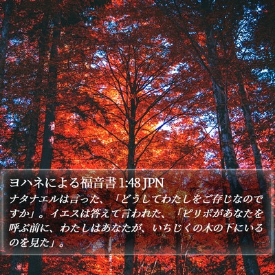 ヨハネによる福音書 1:48 JPN Bible Verse Image