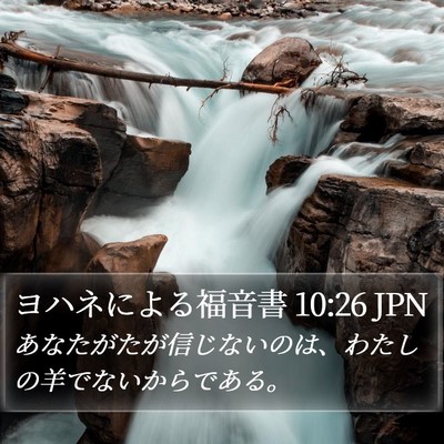 ヨハネによる福音書 10:26 JPN Bible Verse Image