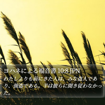 ヨハネによる福音書 10:8 JPN Bible Verse Image