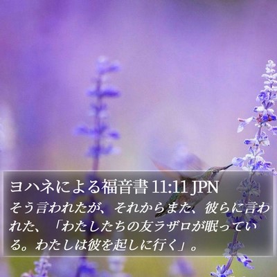 ヨハネによる福音書 11:11 JPN Bible Verse Image