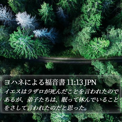 ヨハネによる福音書 11:13 JPN Bible Verse Image