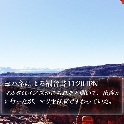 ヨハネによる福音書 11:20 JPN Bible Verse Image