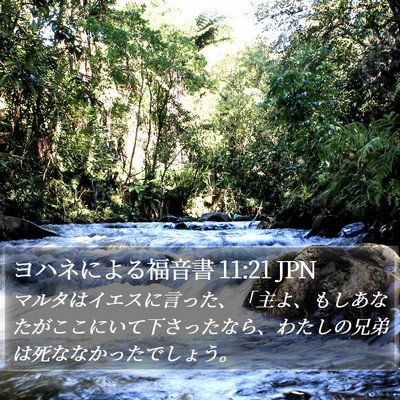 ヨハネによる福音書 11:21 JPN Bible Verse Image