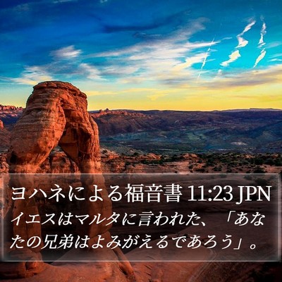 ヨハネによる福音書 11:23 JPN Bible Verse Image