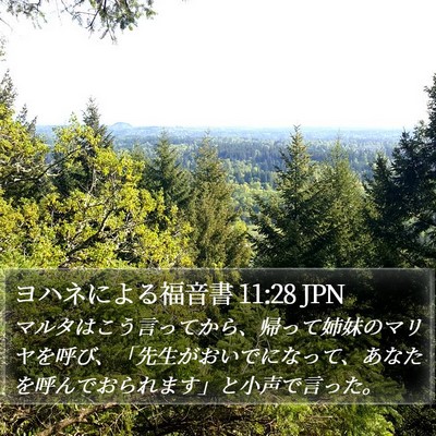 ヨハネによる福音書 11:28 JPN Bible Verse Image