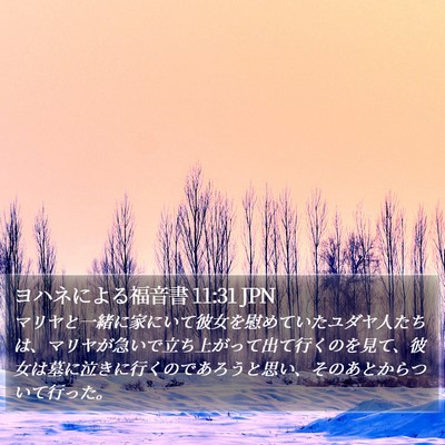ヨハネによる福音書 11:31 JPN Bible Verse Image