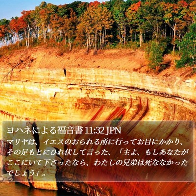 ヨハネによる福音書 11:32 JPN Bible Verse Image