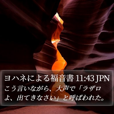 ヨハネによる福音書 11:43 JPN Bible Verse Image