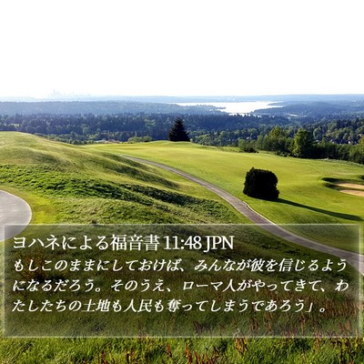 ヨハネによる福音書 11:48 JPN Bible Verse Image