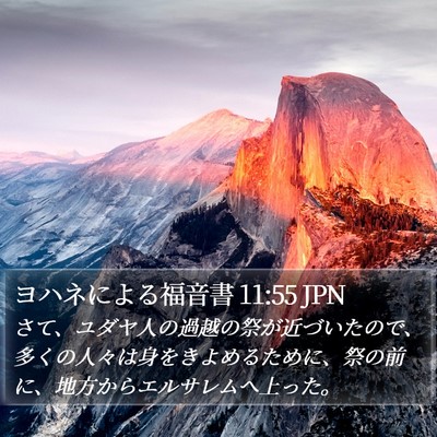 ヨハネによる福音書 11:55 JPN Bible Verse Image