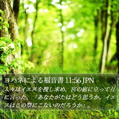 ヨハネによる福音書 11:56 JPN Bible Verse Image