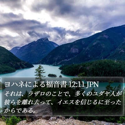 ヨハネによる福音書 12:11 JPN Bible Verse Image