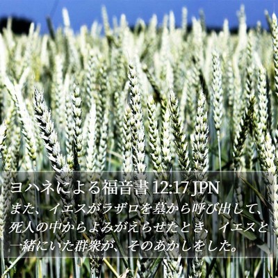 ヨハネによる福音書 12:17 JPN Bible Verse Image