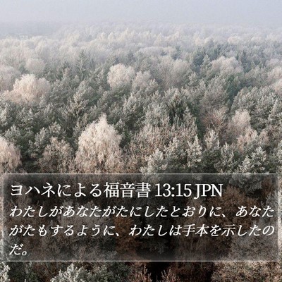 ヨハネによる福音書 13:15 JPN Bible Verse Image