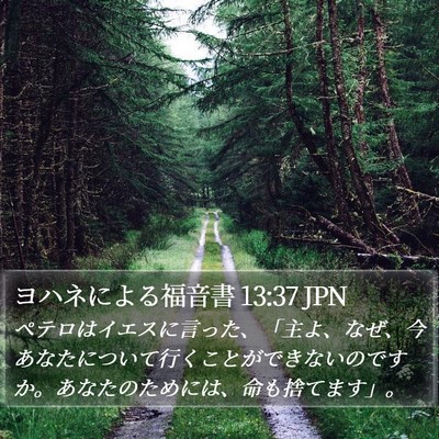 ヨハネによる福音書 13:37 JPN Bible Verse Image