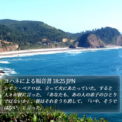 ヨハネによる福音書 18:25 JPN Bible Verse Image