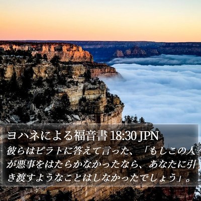 ヨハネによる福音書 18:30 JPN Bible Verse Image