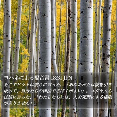 ヨハネによる福音書 18:31 JPN Bible Verse Image