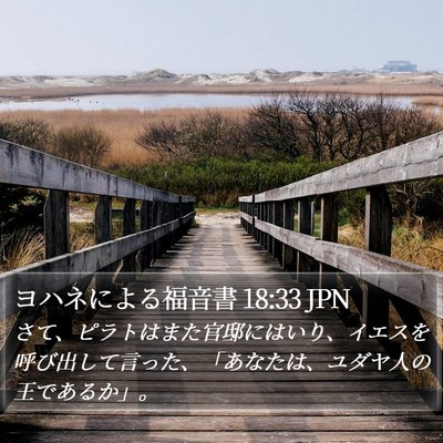 ヨハネによる福音書 18:33 JPN Bible Verse Image