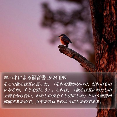 ヨハネによる福音書 19:24 JPN Bible Verse Image
