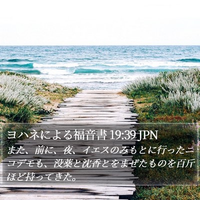 ヨハネによる福音書 19:39 JPN Bible Verse Image
