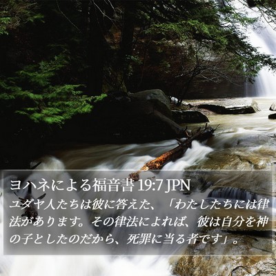 ヨハネによる福音書 19:7 JPN Bible Verse Image