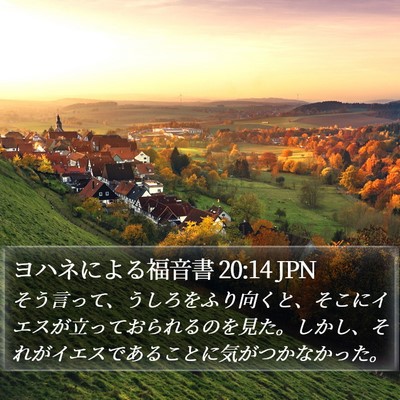 ヨハネによる福音書 20:14 JPN Bible Verse Image
