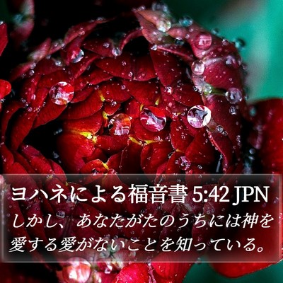ヨハネによる福音書 5:42 JPN Bible Verse Image