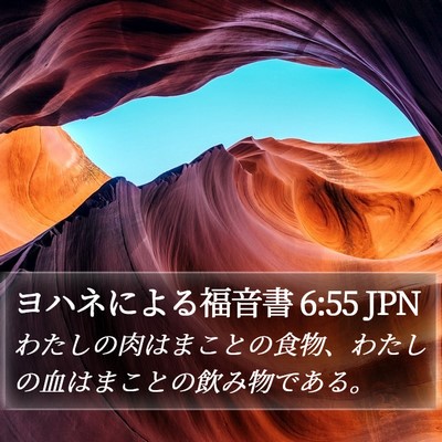 ヨハネによる福音書 6:55 JPN Bible Verse Image