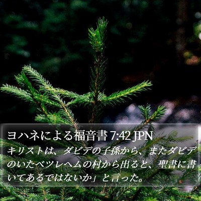 ヨハネによる福音書 7:42 JPN Bible Verse Image
