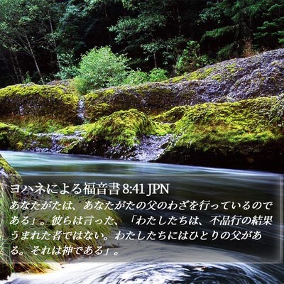 ヨハネによる福音書 8:41 JPN Bible Verse Image