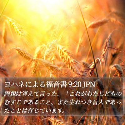 ヨハネによる福音書 9:20 JPN Bible Verse Image