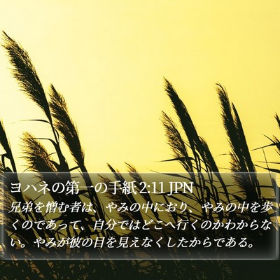 ヨハネの第一の手紙 2:11 JPN Bible Verse Image