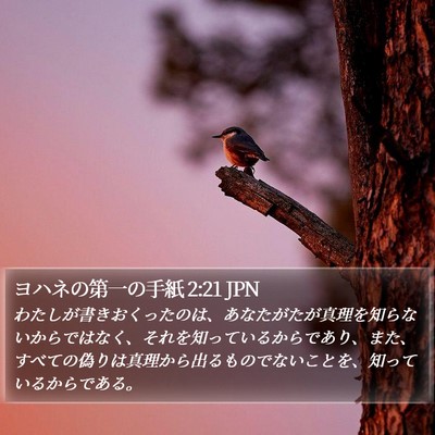 ヨハネの第一の手紙 2:21 JPN Bible Verse Image