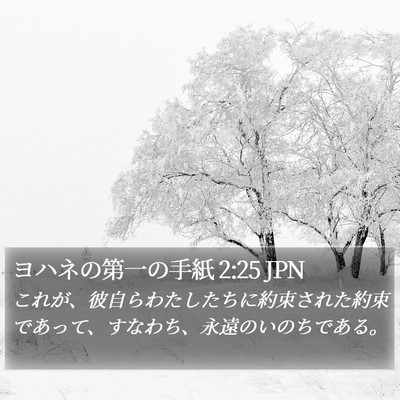 ヨハネの第一の手紙 2:25 JPN Bible Verse Image